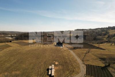 Teren Construcții intravilan de 10000 mp, în Cacica - 5