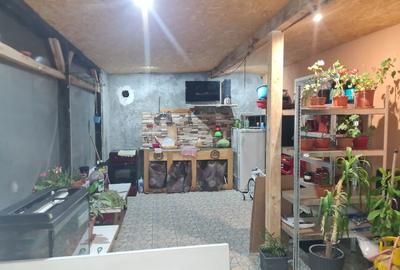 Casă cu 4 camere în Ciocârlia - 1