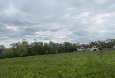 Casă cu 10 camere cu Teren 10000 Mp în Rupea - 19