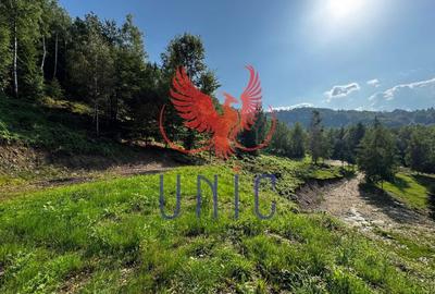 18000 mp de natura pura ,Lupeni, langa Straja 18000 mp de natura pura ,Lupeni, langa Straja - 13