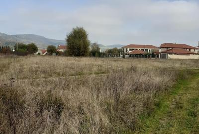 Teren Construcții intravilan de 11300 mp, în Corunca - 2