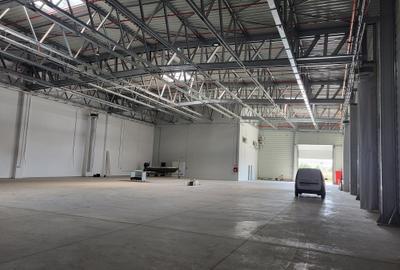 Spațiu industrial, de 1,450 mp, în Sud-Est - 3