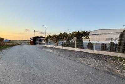 Teren industrial in Constanta 5000 mp cu PUD aprobat Hale - 7