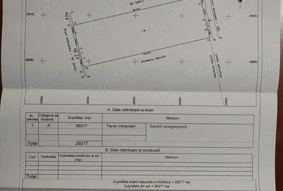 Vand 3,6 Ha E85 Intravilan - 2
