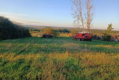 Casă cu 3 camere cu Teren 2600 Mp în Săldăbagiu de Munte - 5
