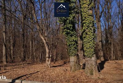 Spațiu comercial, în Central - 2