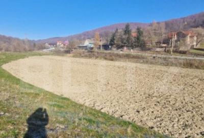 Teren extravilan - Sita Buzaului -6800 mp posibilitate trece - 7