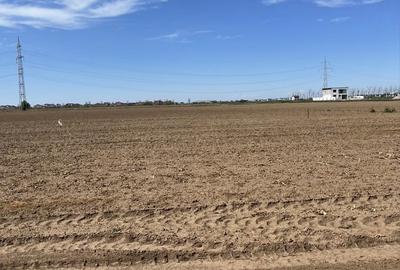 Spațiu comercial, în Berceni