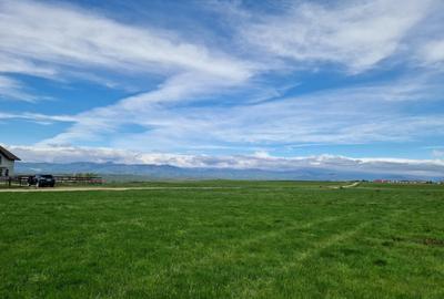 Teren extravilan 25.254 mp in zona Preajba - 2