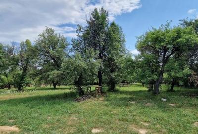 Vanzare teren intravilan-sat Selari,Arges - 5