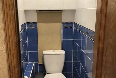 Apartament cu 2 camere in zona Mehala - 7