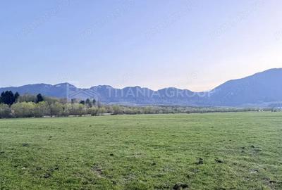 Teren intravilan, 7838 mp, cu priveli?te superba spre mun?i Zarne?ti - 6