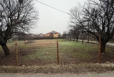 Teren intravilan 600 MP in Bariera Valcii - 1