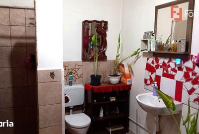 Casă cu 7 camere cu Teren 1458 Mp în Lenauheim - 10