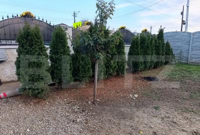 Casă cu 3 camere cu Teren 780 Mp în Măgurele - 12