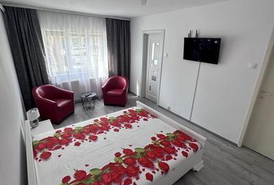 Garsonieră nedecomandată în Valea Rosie - 1