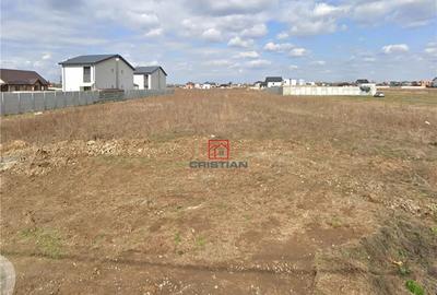 Teren de 13500 mp, în Domnești - 3