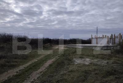 Teren de 10925 mp, în Sânmartin - 5