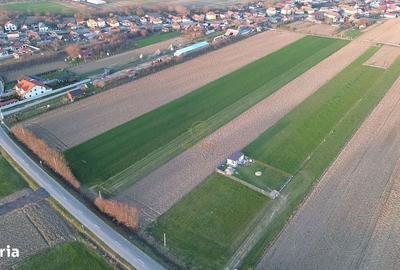 Teren de 585.1 mp, în Păulești - 3