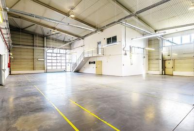 Hală industrială ideală pentru producție sau showroom în Arad 553mp - 2