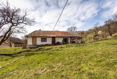 FILM! Pe 6.500mp teren + casa parinteasca, incantatoare pozitionare, acces facil - 12