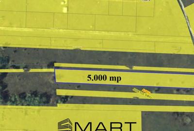 Teren de 5000 mp, în Avrig - 1