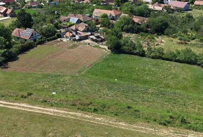 Teren de 928 mp, în Covăsinț - 2