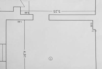 Spațiu comercial, de 44 mp, în Brazda lui Novac - 8