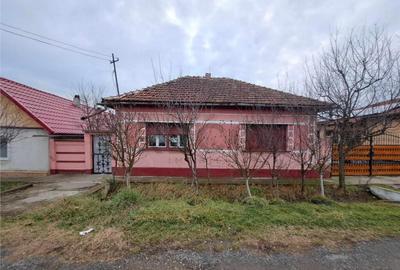 RECO Casa Salonta Fuveskert