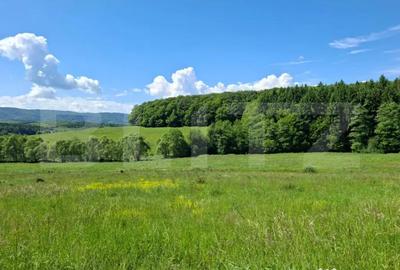 Teren în Dumbrăvița - 2