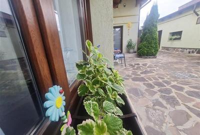 Proprietate cu 3 corpuri, curte individula, potential regim hotelier, Craiter, B