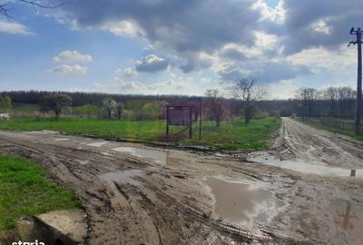 Spațiu comercial, în Buturugeni - 20