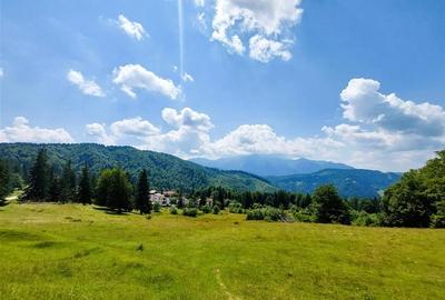 Teren Intravilan 80.000mp 3 Brazi,Predeal Comision 0 - 1