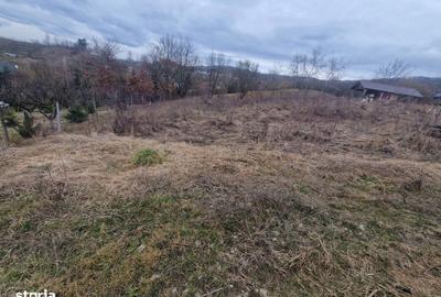 Teren de 1279 mp, în Central - 3