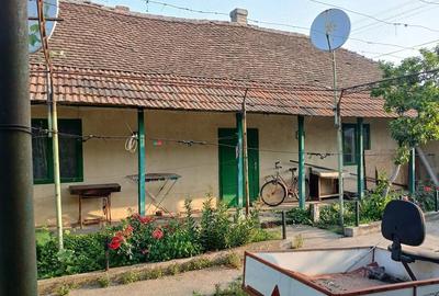 Casă cu 3 camere cu Teren 700 Mp în Peciu Nou - 3