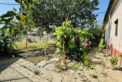 Casa 3 Camere - loc. Ciacova - 0% Comision - 16