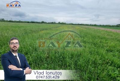 Teren Construcții intravilan de 5368 mp, în Săsar