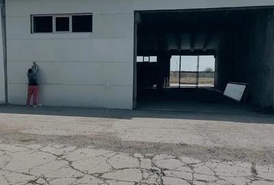 Hala Depozit Hala Depozit - 4