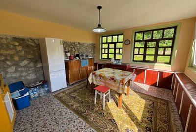 Casa de vanzare, 5 cam., 200 mp. + 5000 mp. teren, Valea Ariesului - 9