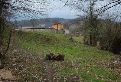 Spațiu comercial, în Eșelnița - 2