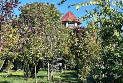 Casă individuală Buftea, 3.162 mp teren, ieșire spre lac - 43