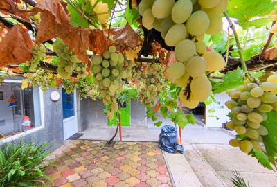 Casă cu 4 camere de vânzare în Buzias - 4