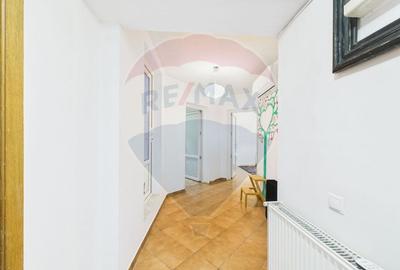 Casa artistica  cu 3 camere de inchiriat in zona Drumul Sarii/Razoare - 10
