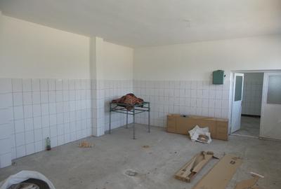 Casă cu 4 camere cu Teren 1400 Mp în Jariștea - 5