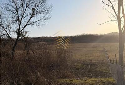 Spațiu comercial, în Sigmir - 8