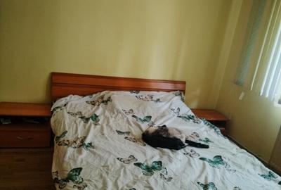 Apartament 3 camere Miorita - 8