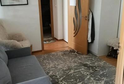 Apartament cu 2 camere semidecomandat, mobilat în Lacul Morii - 4