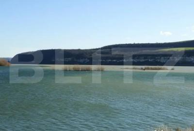 Teren de 120000 mp, în Divici - 6