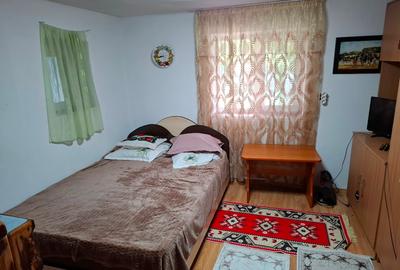 Casă individuală cu 2 camere cu Teren 2600 Mp în Crâmpoia - 7