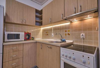 Garsonieră semidecomandată, mobilată în Domenii - 5